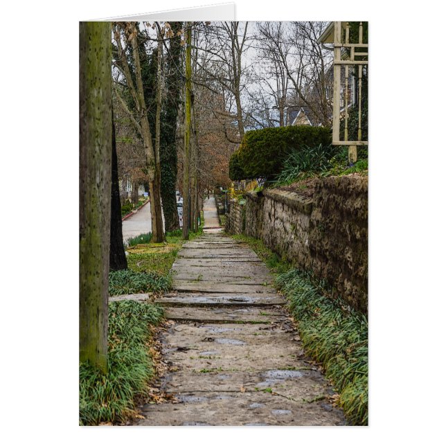 Unlevel Pathway (Vorne)