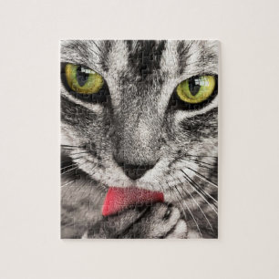 Unmögliches Puzzle - Graue gestreifte Katze