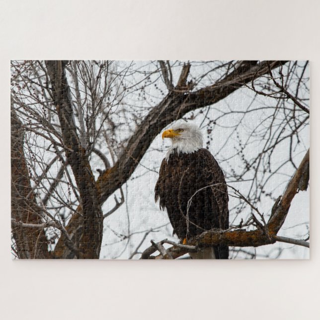 Unmögliches Puzzle - Haliäetus (Horizontal)