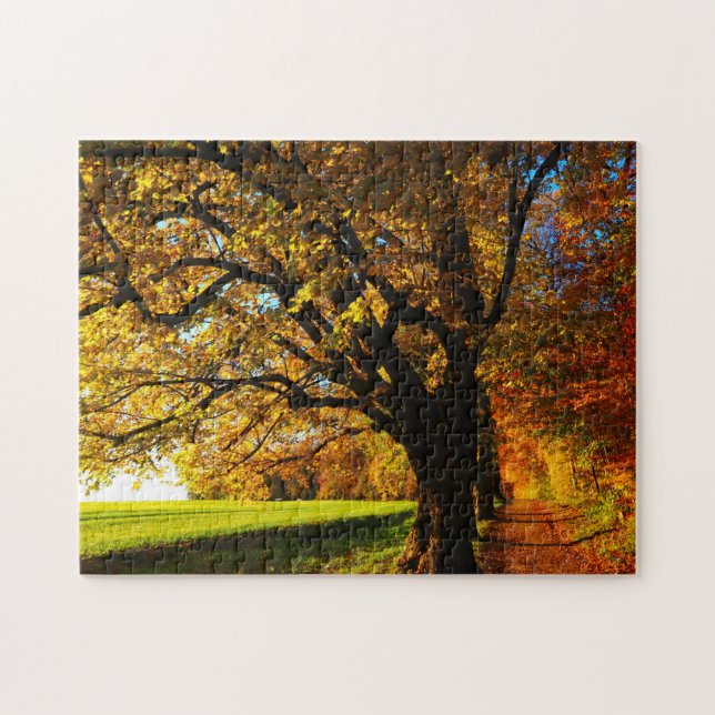 Unmögliches Puzzle - Sonniger Herbst (Horizontal)