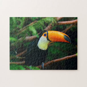 Unmögliches Puzzle - Toucan