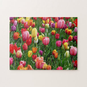 Unmögliches Puzzle - Tulips