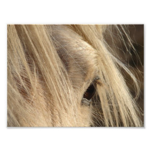 Unordentlicher Mähnen-Tag Fotodruck