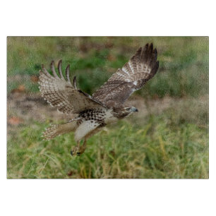 Unreifes Rot angebundener Falke Schneidebrett