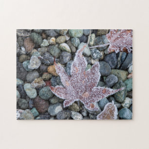 Uns, Wa, Bainbridge Island. Frühmorgenfrost 2 Puzzle