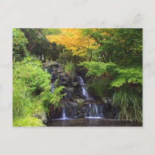 Unscharfer Felsen-Wasserfall, Ahorn-grüne u. Postkarte