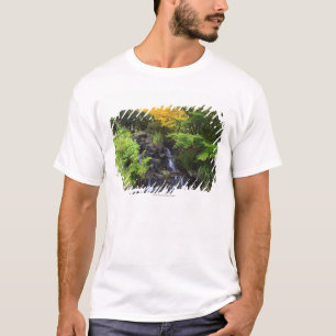 Unscharfer Felsen-Wasserfall, Ahorn-grüne u. T-Shirt