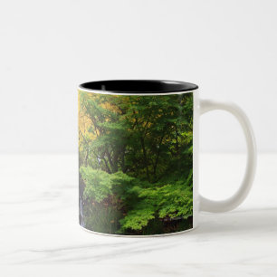 Unscharfer Felsen-Wasserfall, Ahorn-grüne u. Zweifarbige Tasse