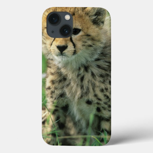 Unscharfer Gepard-Junges Case-Mate iPhone Hülle (Rückseite)