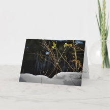 "Unseen Minnesnowta" Weihnachtskarte