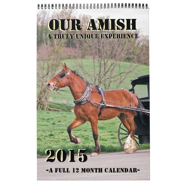 Unser Ehrgeiz Kalender (Titelbild)