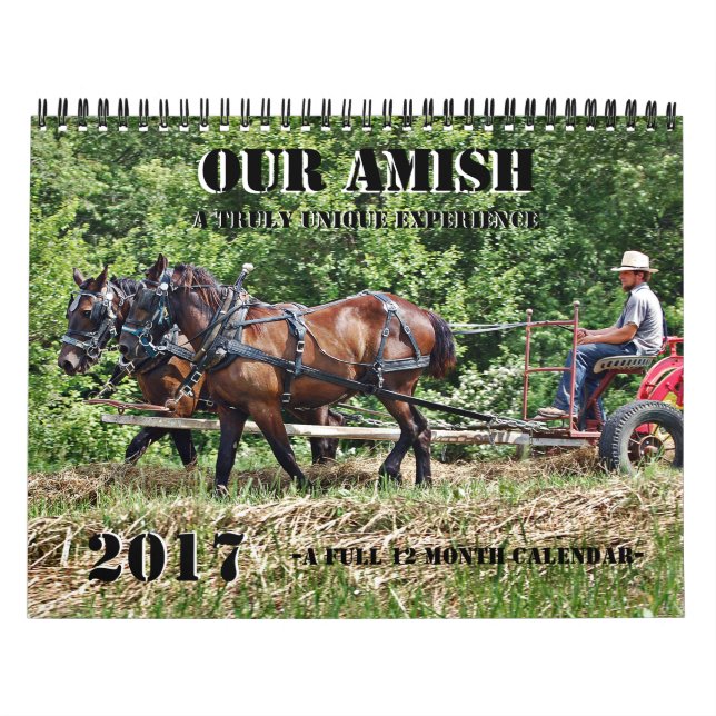 Unser Ehrgeiz Kalender (Titelbild)