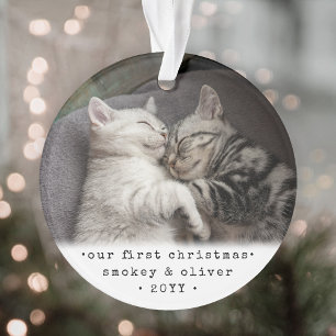 Unser erstes Weihnachten 2 Katzen oder Haustier Ei Ornament