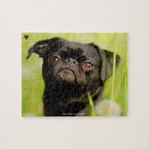 Unser Griffon Hund unser Haustier Puzzle