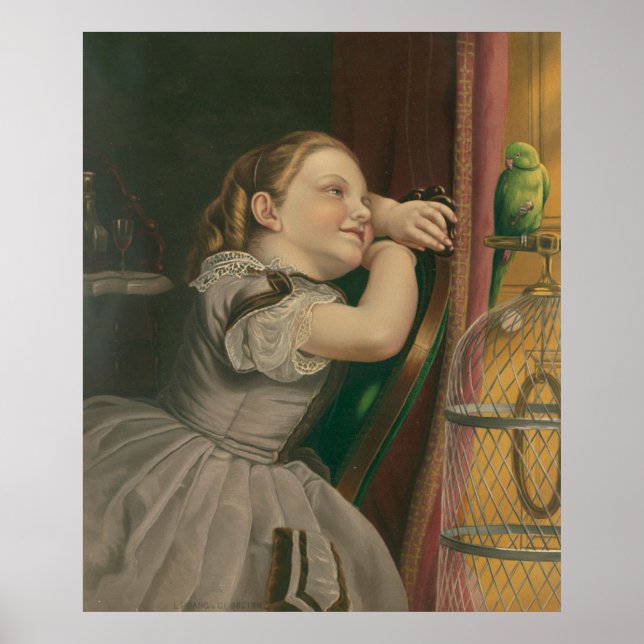 Unser Haustier Polly Poster (Vorne)