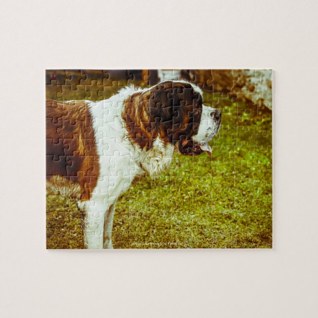 Unser Heiliger Bernard unser Haustier Puzzle (Horizontal)