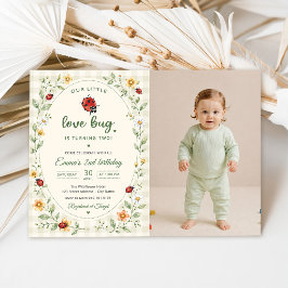 Unser kleiner Love Bug Ladybug 2. Geburtstag Einladung