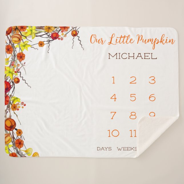 Unser kleiner Pumpkin Autumn Wreath Baby Milestone Sherpadecke (Vorderseite (Horizontal))