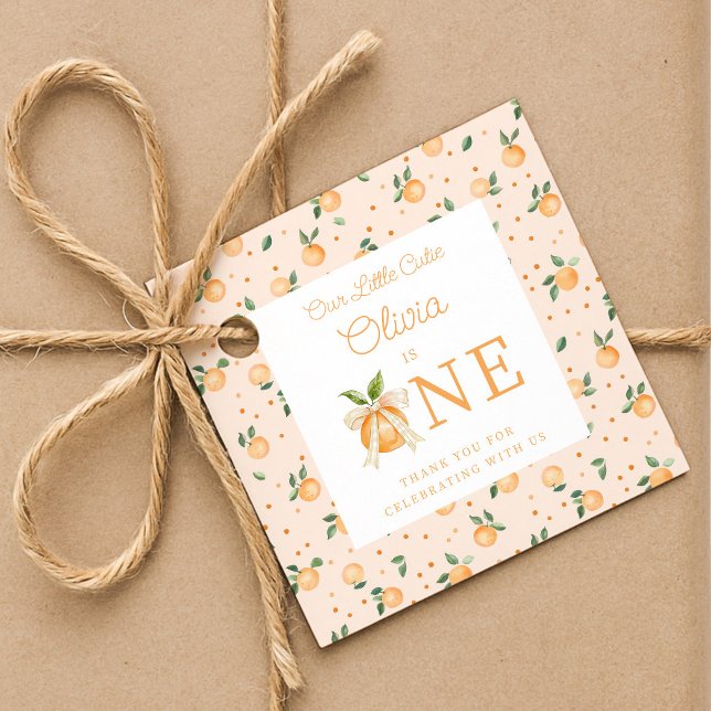 Unser kleiner Schatz wird Eins erster Geburtstag Geschenkanhänger (Our Little Cutie Is One First Birthday Favor Tags)