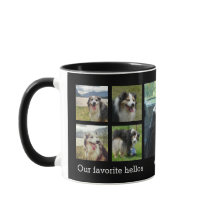 Unser Lieblings-Hellos und härteste Gobys-Foto