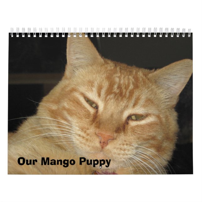 Unser Mango-Welpe Kalender (Titelbild)