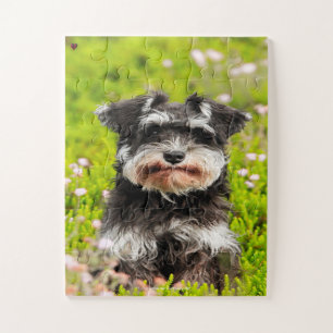 Unser Schnauzer unser Familienhund Puzzle