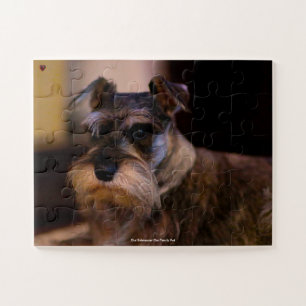 Unser Schnauzer unser Familienhund Puzzle