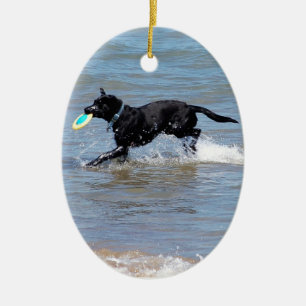 Unser schwarzes Labrador, das Frisbee vom See Keramikornament