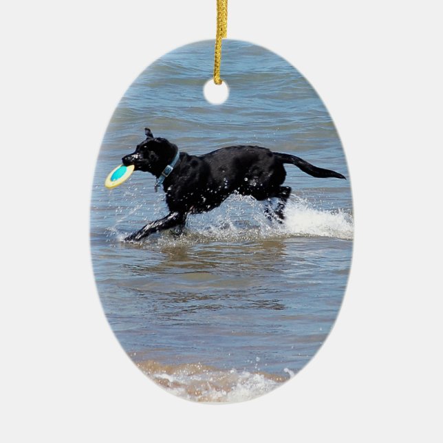 Unser schwarzes Labrador, das Frisbee vom See Keramikornament (Vorne)