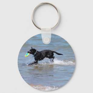 Unser schwarzes Labrador, das Frisbee vom See Schlüsselanhänger