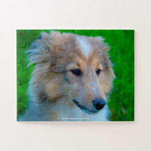 Unser Shetland Sheepdog, unser Haustier Puzzle