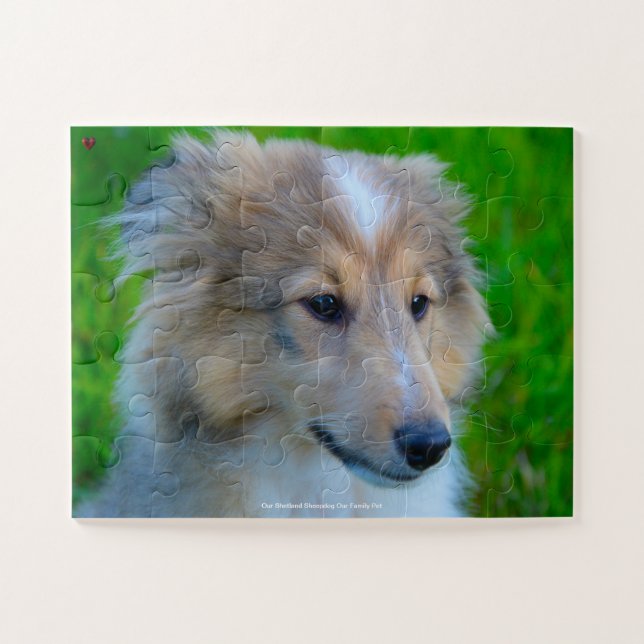 Unser Shetland Sheepdog, unser Haustier Puzzle (Horizontal)