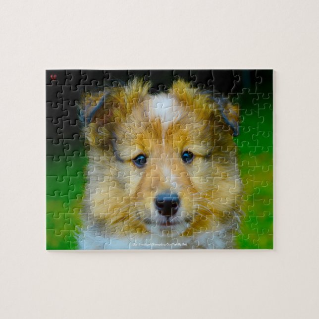Unser Shetland Sheepdog, unser Haustier Puzzle (Horizontal)