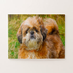 Unser Shih Tzu unser Haustier Puzzle