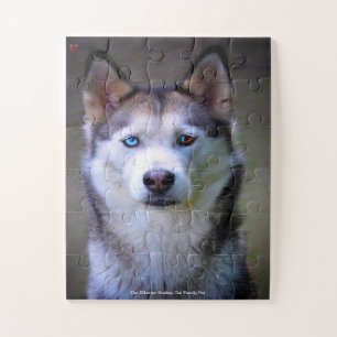 Unser sibirischer Huskey, unser Haustier Puzzle