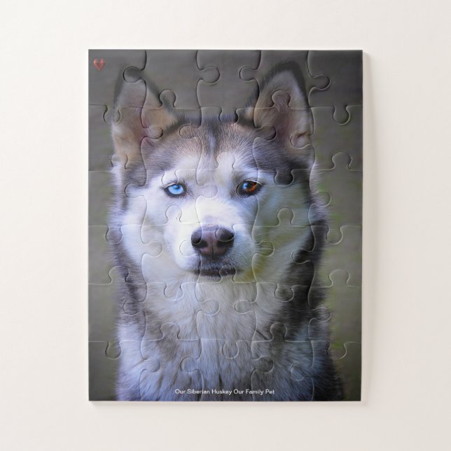 Unser sibirischer Huskey, unser Haustier Puzzle (Vertikal)