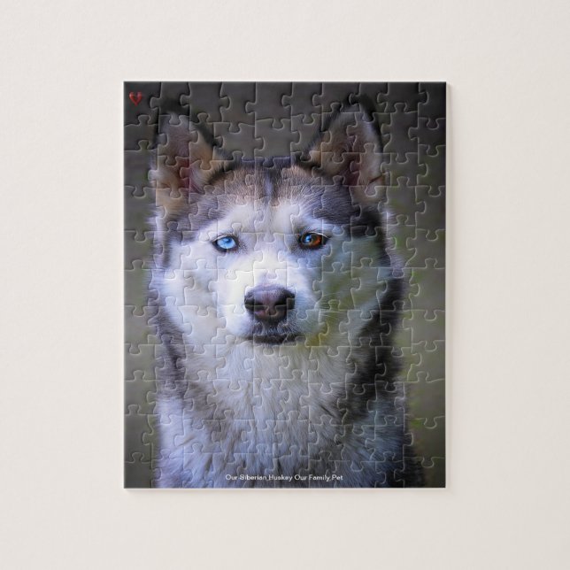 Unser sibirischer Huskey, unser Haustier Puzzle (Vertikal)