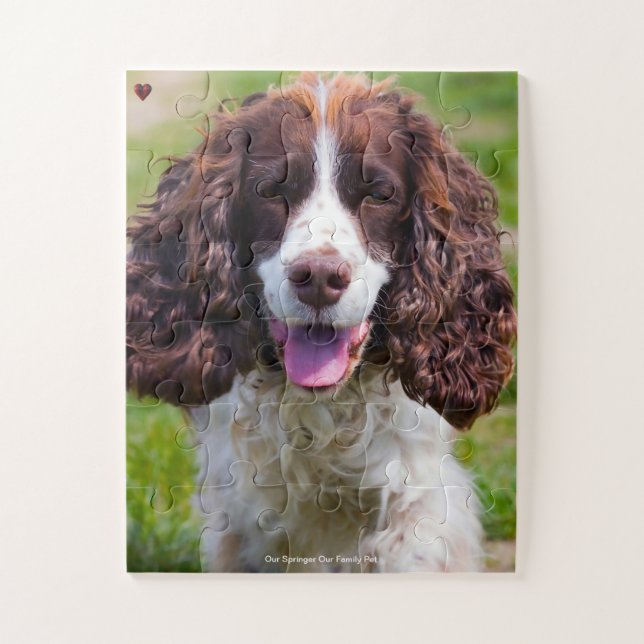 Unser Springer Hund unser Haustier Puzzle (Vertikal)