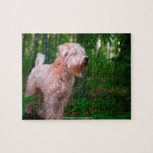 Unser "Wheaten Terrier" ist unser Puzzle für Haust