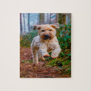 Unser "Wheaten Terrier" unser Haustier Puzzle