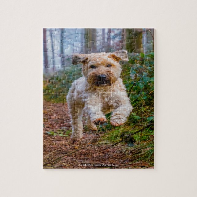 Unser "Wheaten Terrier" unser Haustier Puzzle (Vertikal)