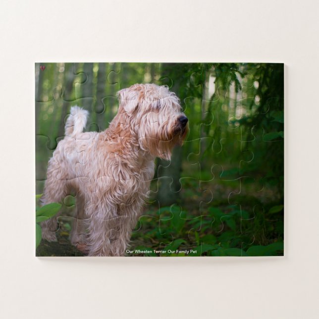 Unser "Wheaten Terrier" unser Haustier Puzzle (Horizontal)