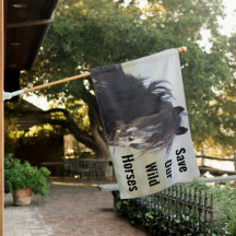 Unser Wild Horses Jet Stream gerettet