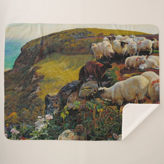Unsere englische Küste oder Strayed Sheep William  Sherpadecke (Vorderseite (Horizontal))