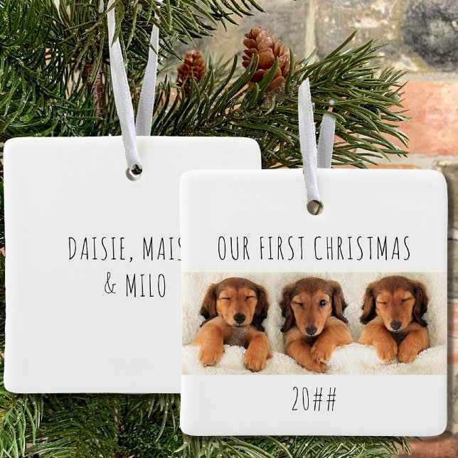 Unsere ersten Welpenhunde Weihnachten Panorama-Fot Keramikornament (Puppy first christmas keepsake ornament with 3 photos and name(s) on the back)