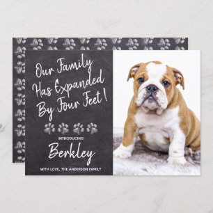 Unsere Familie wurde um vier Meter neuen Hund für Ankündigung