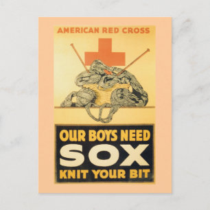 Unsere Jungen brauchen Sox Postkarte