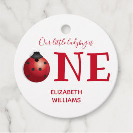 Unsere kleine Ladybug eine erste Geburtstagsfeier Geschenkanhänger