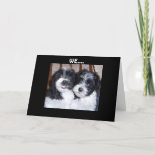 UNSERE KOPFEN GEMEINSAM GEBURTSTAG got Karte