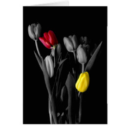 Unsere Liebe-Tulpe Karte